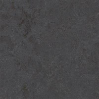 3725 Cosmos Concrete 